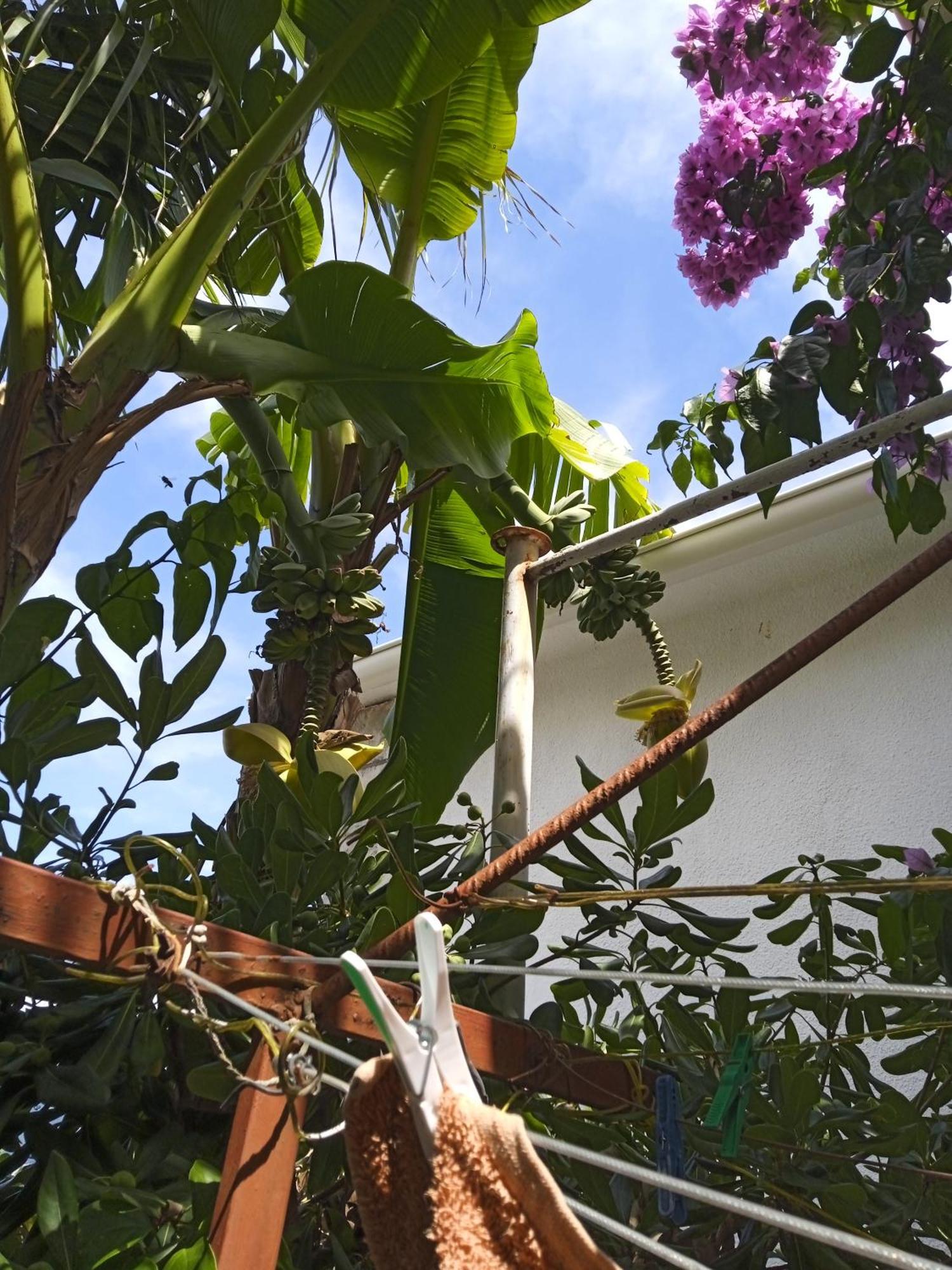 Sino Apartman Tivat
